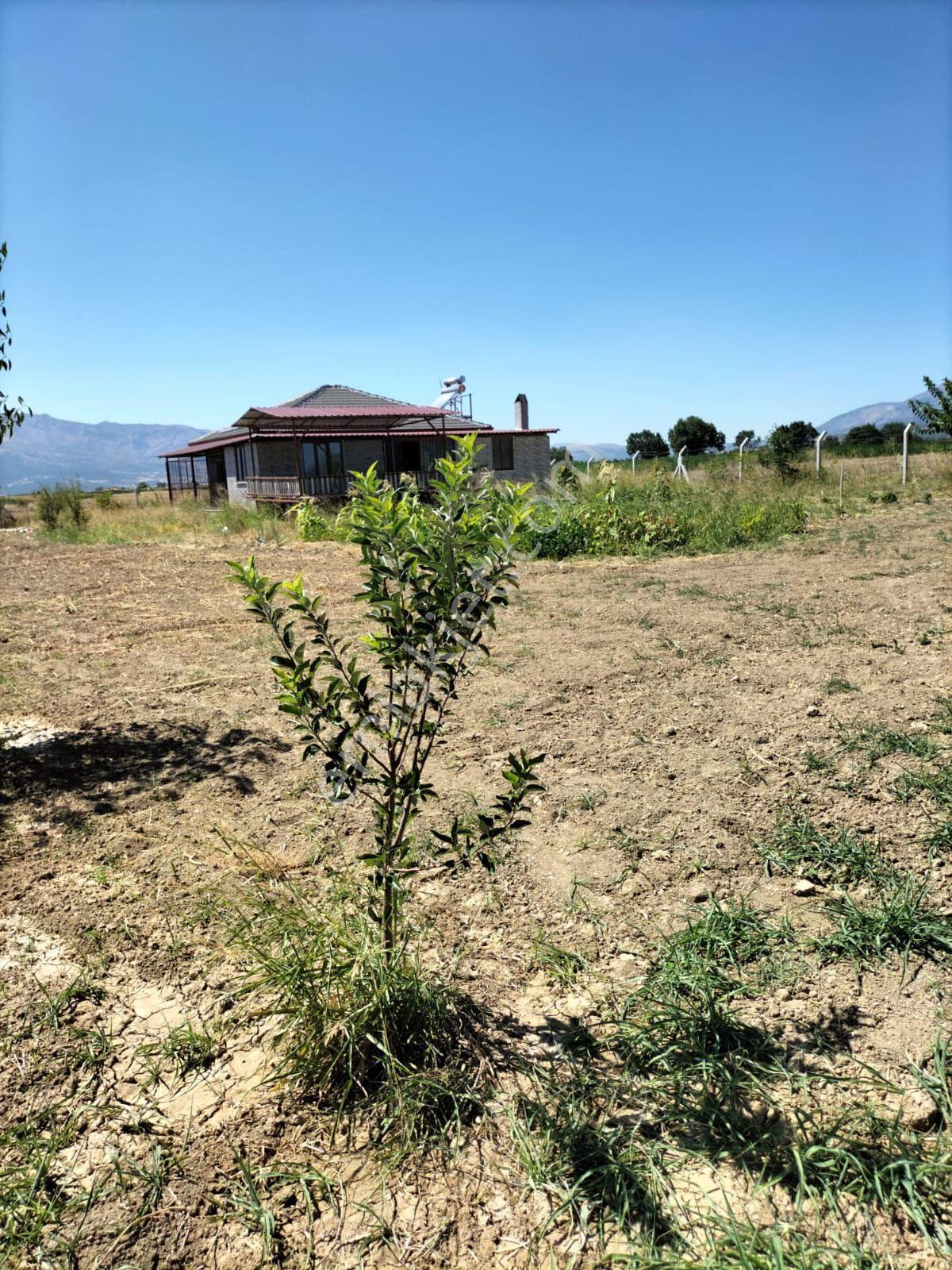Denizli Acıpayam Karahöyük Daire Takaslı Satılık Müstakil Bahçe Evi - Görsel 28
