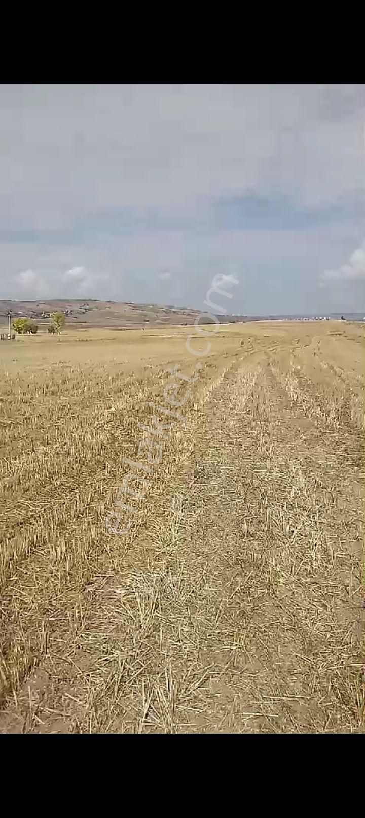 Yozgat Sorgun Osmaniye Köyü