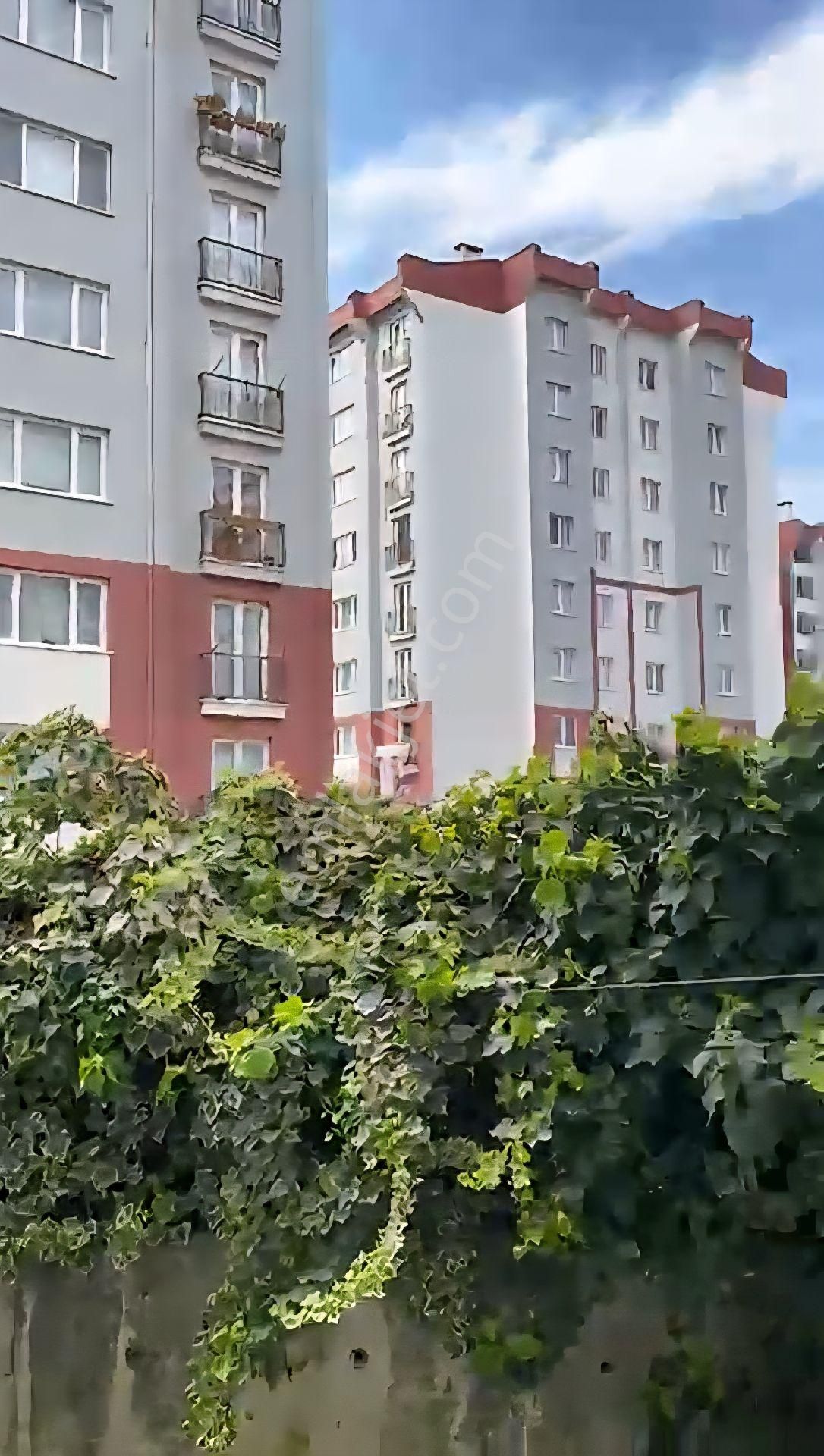 E6 Gişelerine Yakın 2+1 Daire