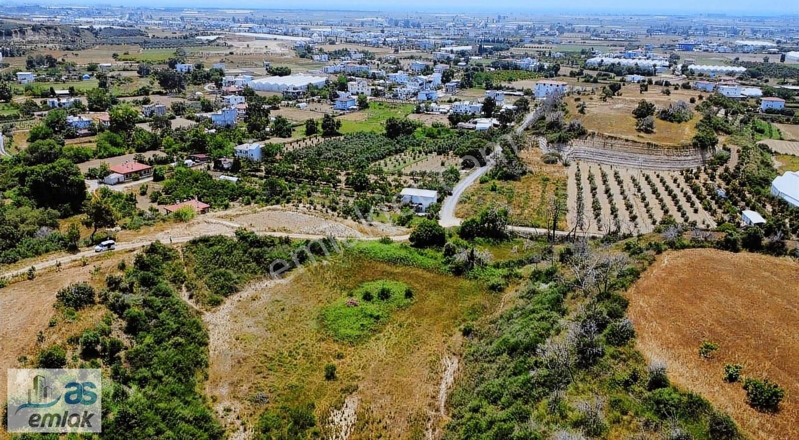 Demircilerde Güzel Konumda 8.5 Dönüm Satılık Tarla