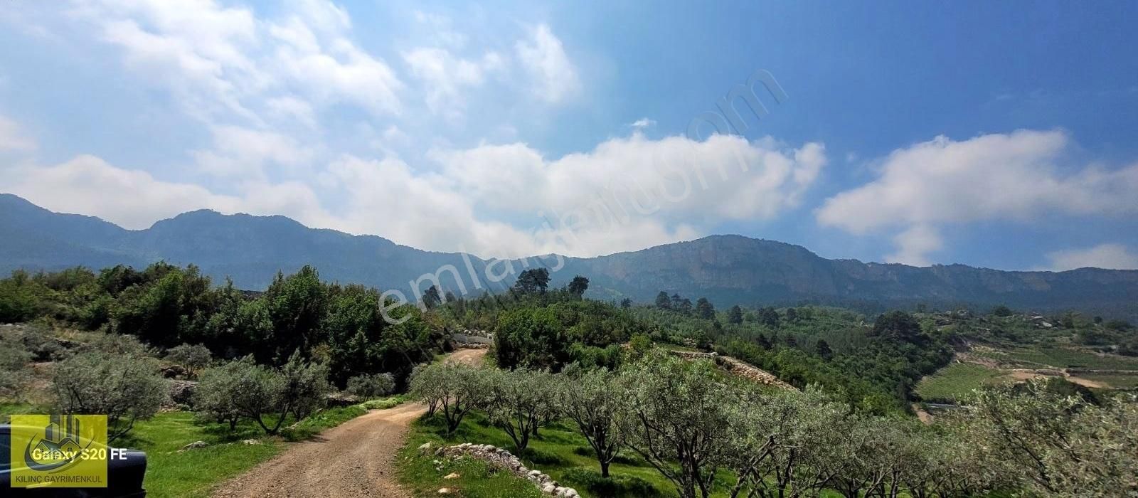Takasa Uygun Orman Kanyon Manzaralı Bahçe - Görsel 16