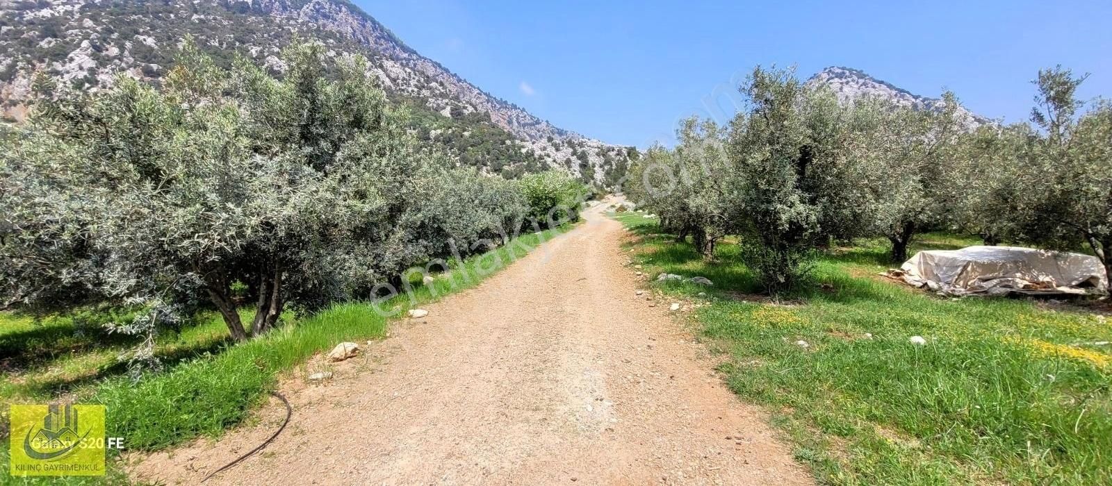 Takasa Uygun Orman Kanyon Manzaralı Bahçe - Görsel 3