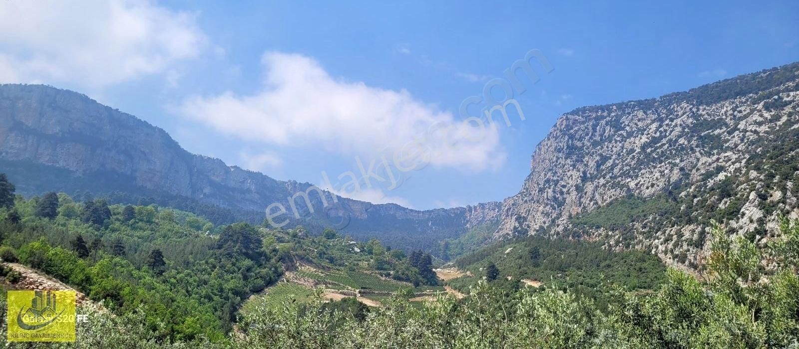 Takasa Uygun Orman Kanyon Manzaralı Bahçe - Görsel 8