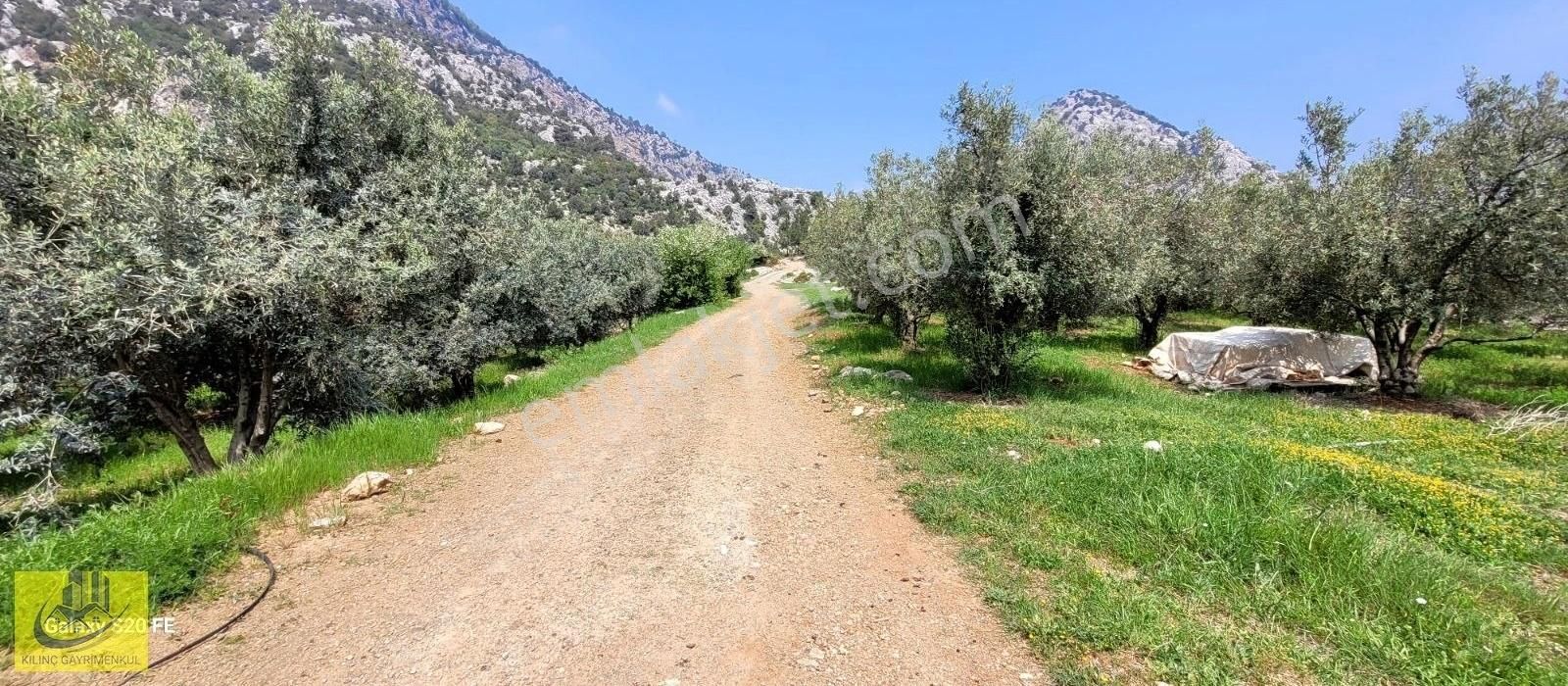 Takasa Uygun Orman Kanyon Manzaralı Bahçe - Görsel 6