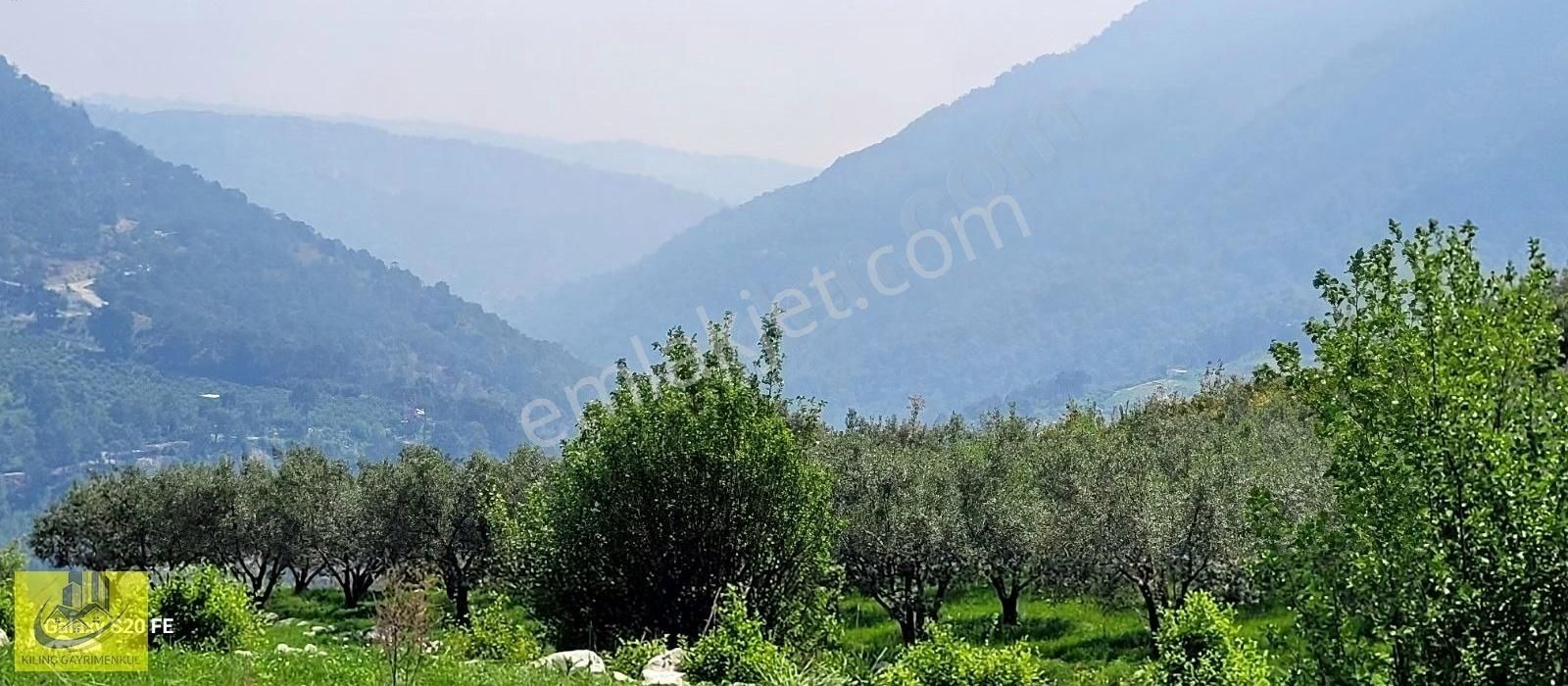 Takasa Uygun Orman Kanyon Manzaralı Bahçe - Görsel 12