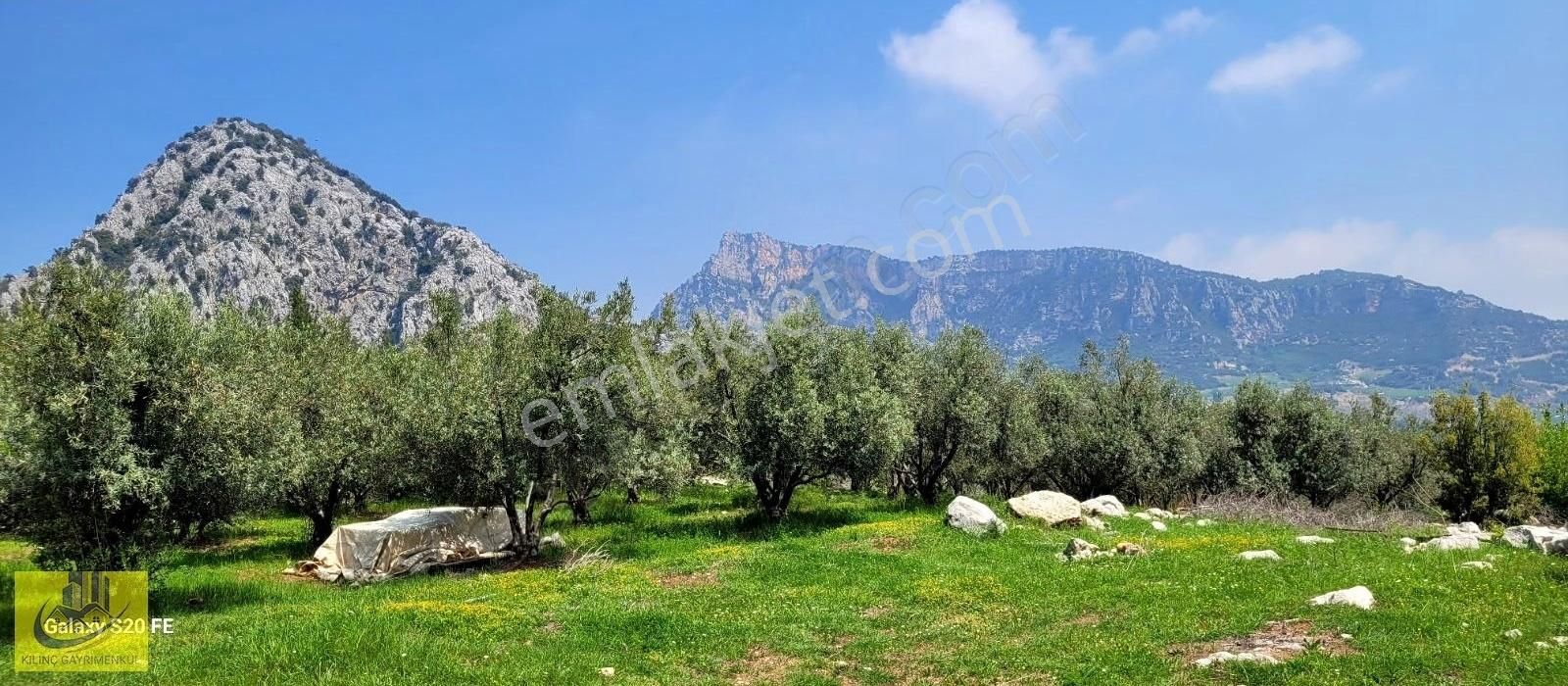 Kanyon Orman Manzaralı 600 M Rakımlı Yol Cepheli Bahçe