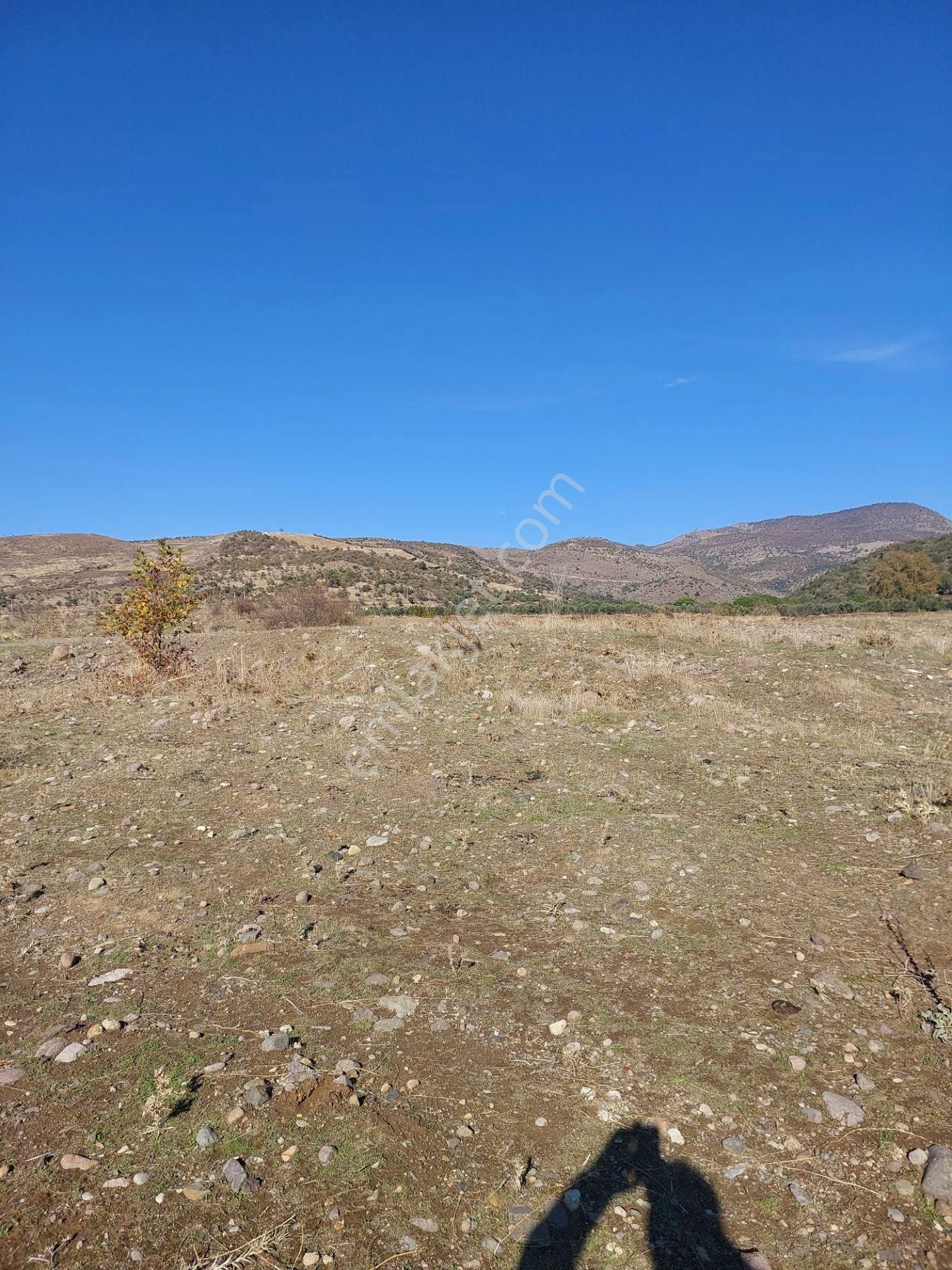 İzmir Dikili Kocaoba,da Satılık Kooperatiflere Uygun 74.bin.m2 Tarla - Görsel 8