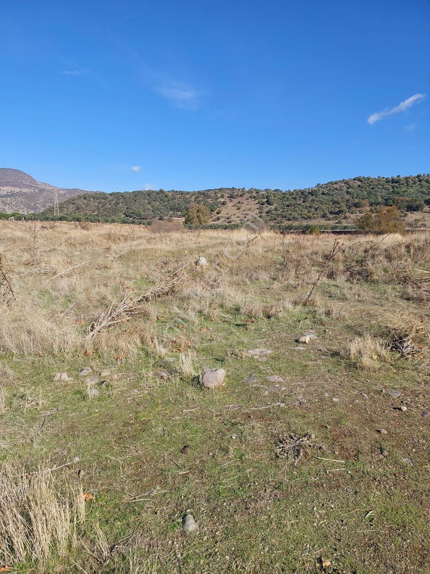 İzmir Dikili Kocaoba,da Satılık Kooperatiflere Uygun 74.bin.m2 Tarla - Görsel 11