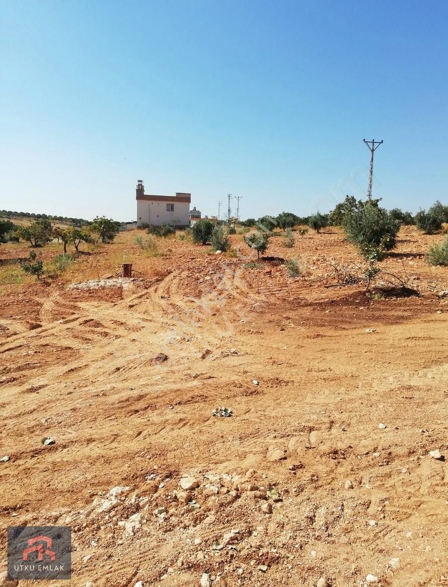 Fırsat Yatırımlık Arazi Utku Dan - Görsel 3