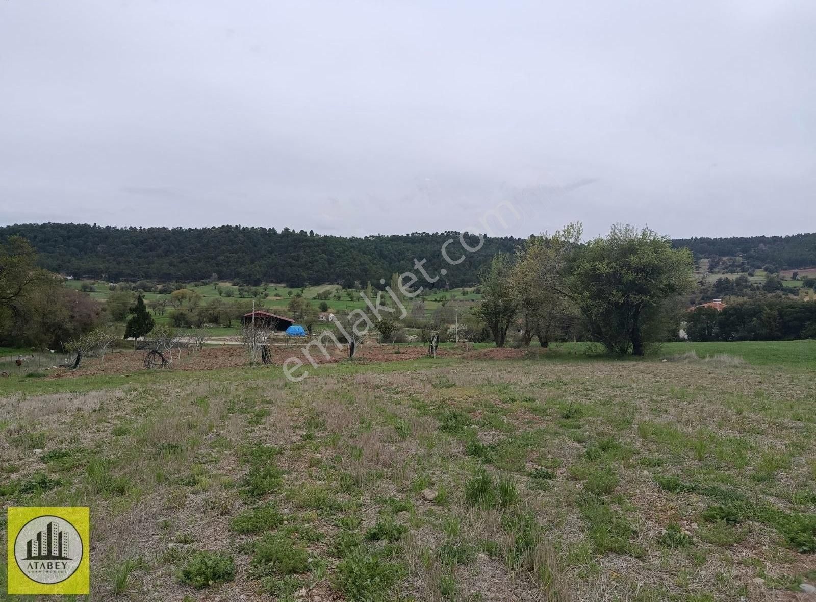 Denizli Tavas Pınarlık Satılık Arsa - Görsel 18
