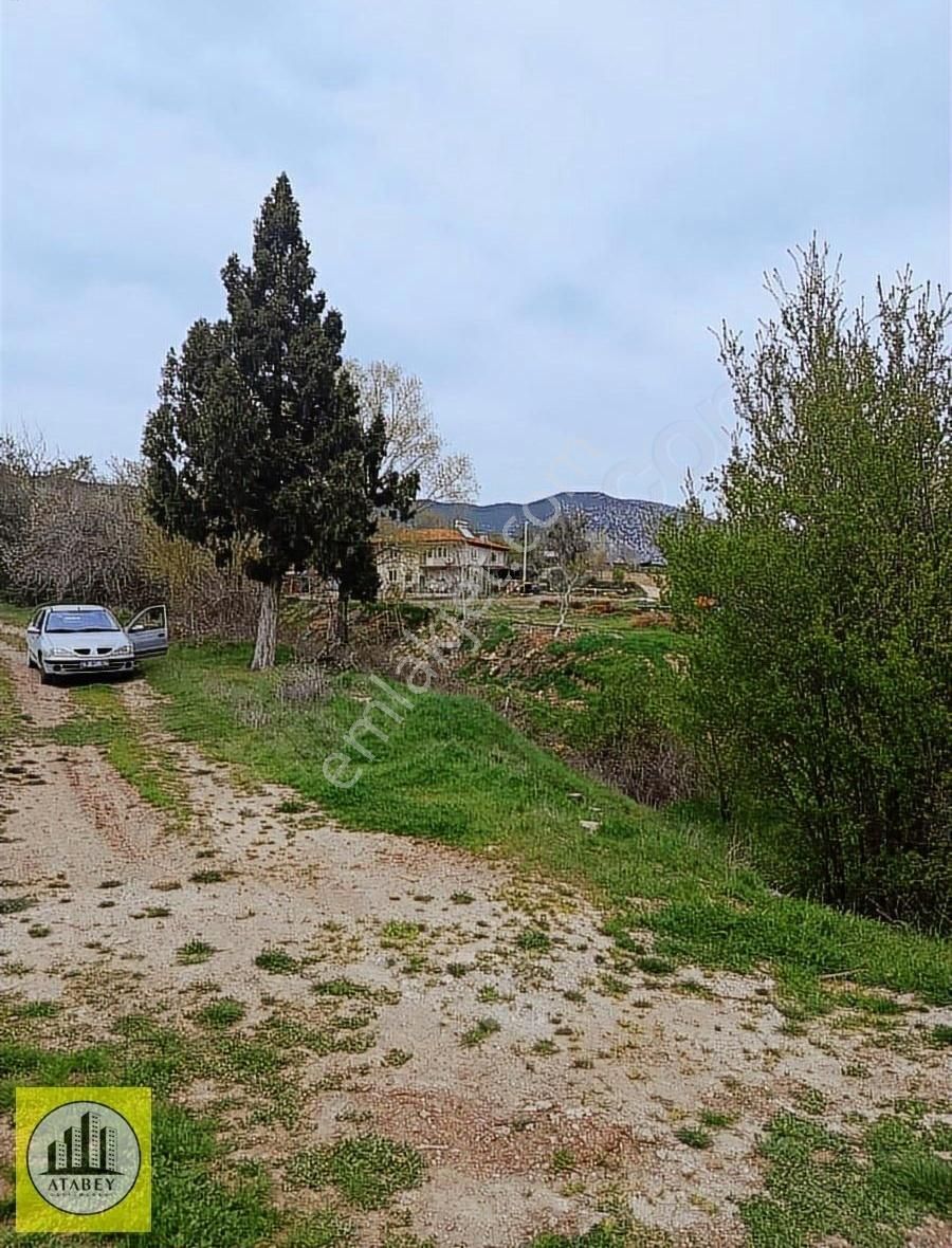 Denizli Tavas Pınarlık Satılık Arsa - Görsel 4