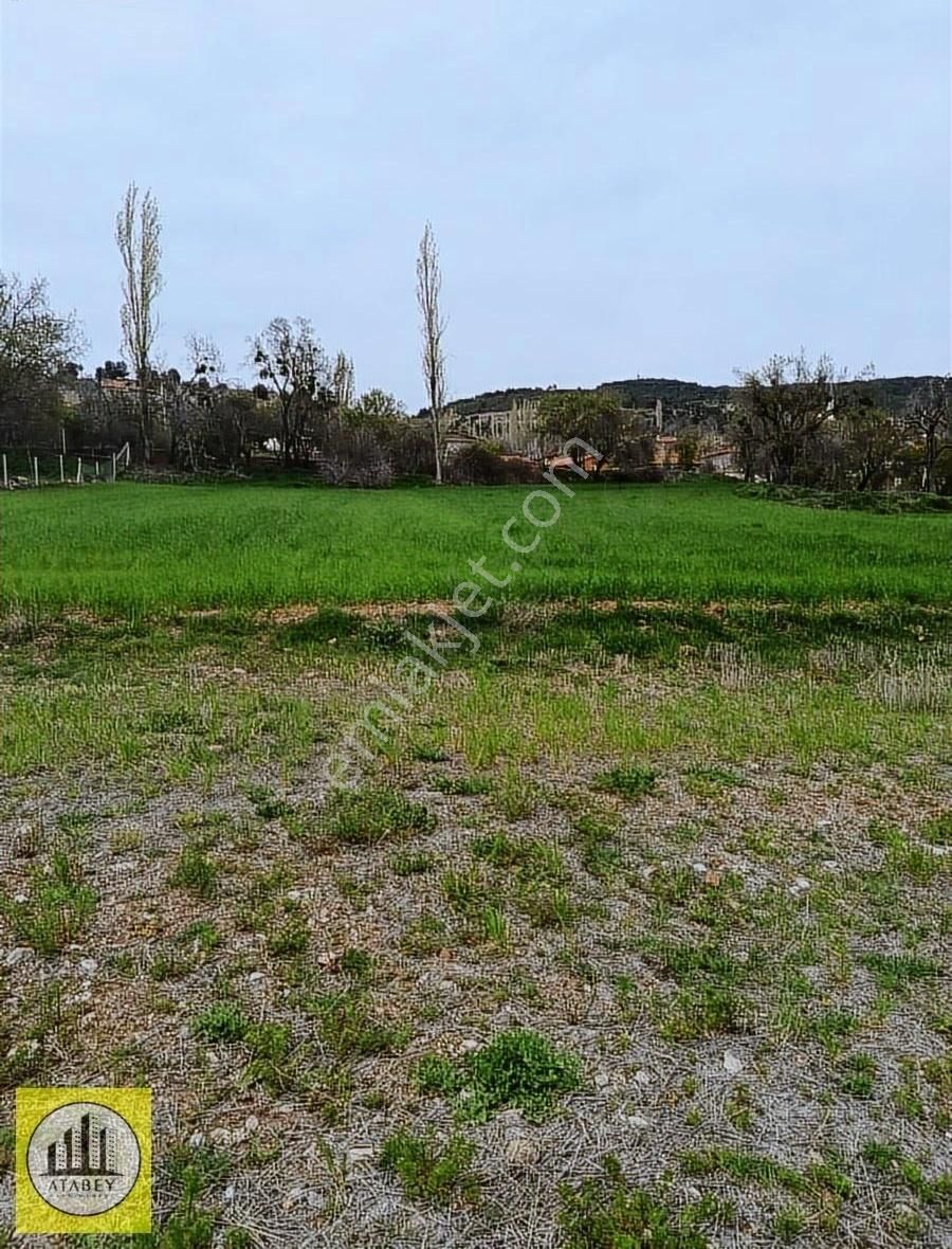 Denizli Tavas Pınarlık Satılık Arsa - Görsel 14