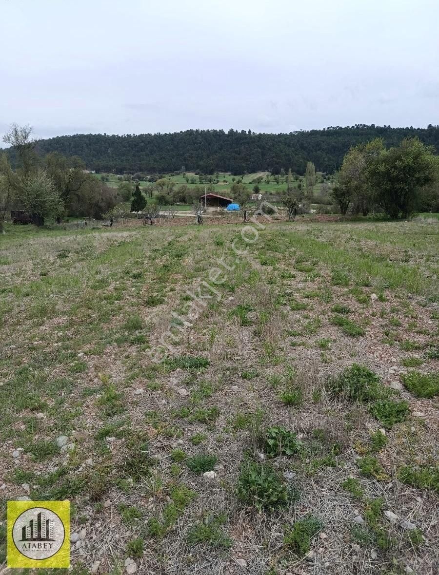 Denizli Tavas Pınarlık Satılık Arsa - Görsel 11