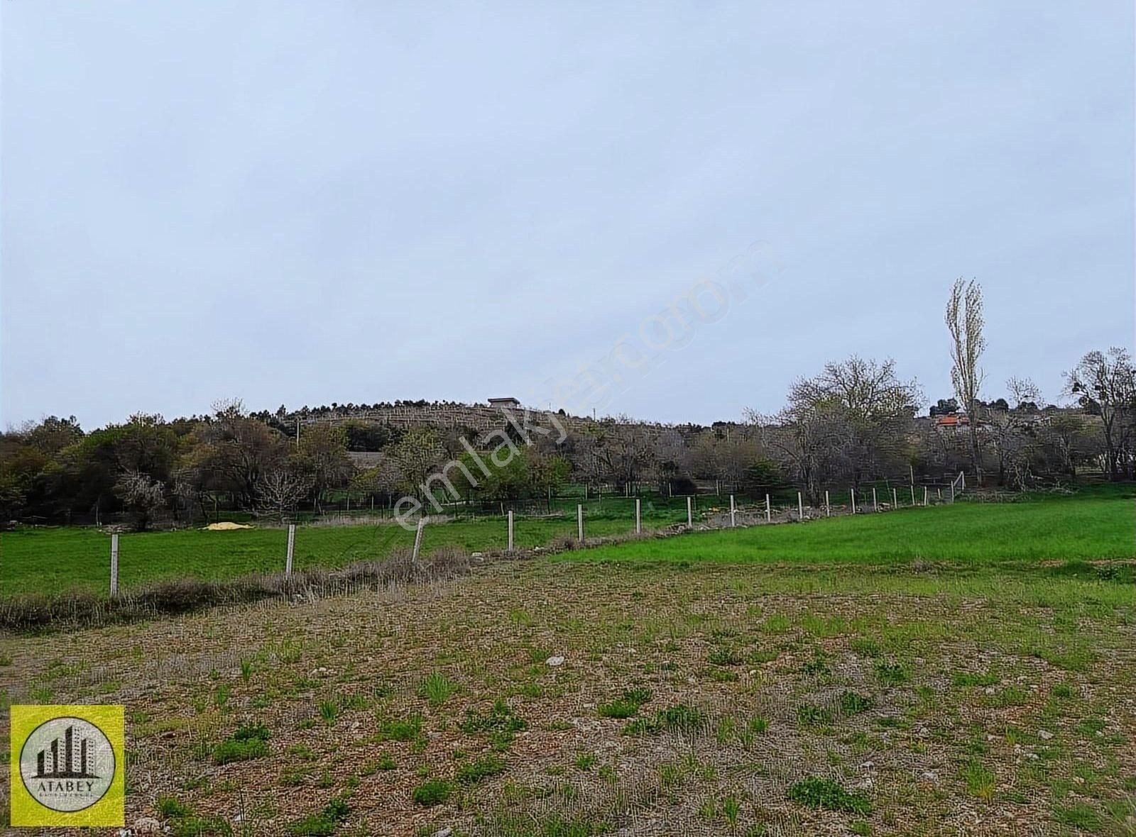 Denizli Tavas Pınarlık Satılık Arsa - Görsel 15