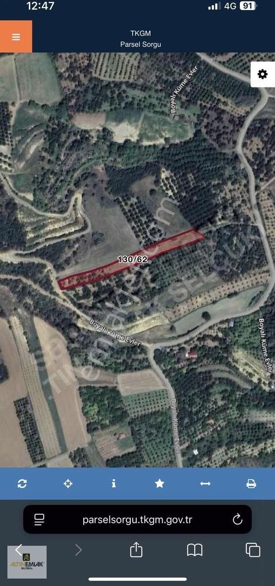 Amasya Suluova Boyalı Köyünde Çiftçiye Uygun Satılık Tarla