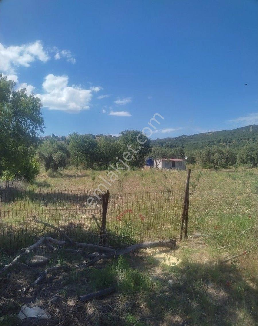 Sarıcalar Mah 780 M2 Müstakil Obi Bahcesi Yeni Sahibini Bekler