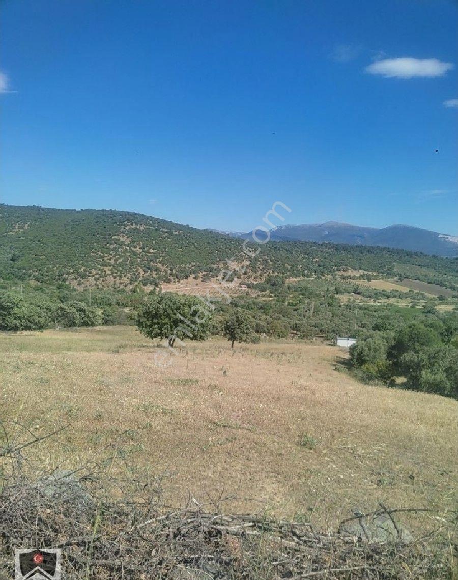 İzmir Bergama Sarıcalar Köyüm Dibinde 9300 M3 Kadastrol Yolu Olan Tarlamiz Satılıktır - Görsel 5