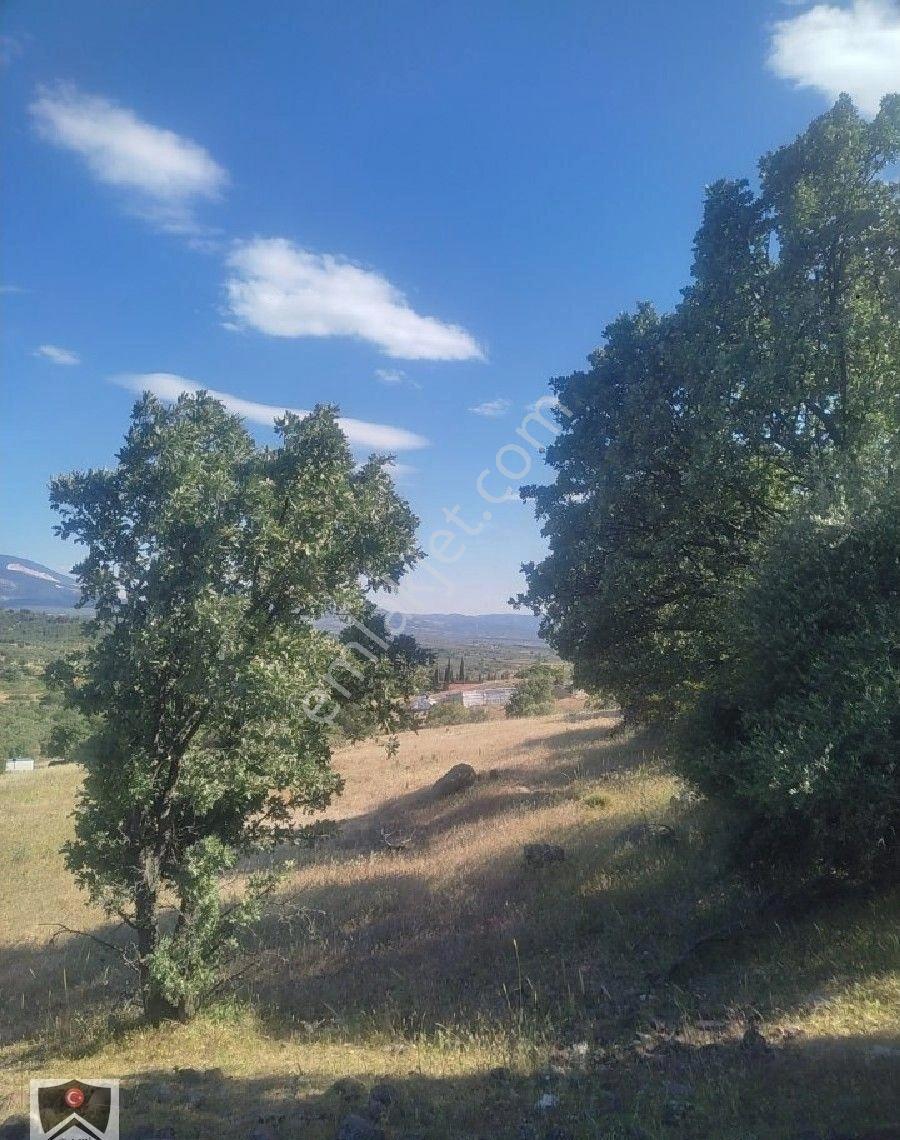 İzmir Bergama Sarıcalar Köyüm Dibinde 9300 M3 Kadastrol Yolu Olan Tarlamiz Satılıktır - Görsel 11