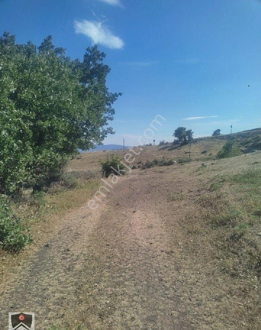 İzmir Bergama Sarıcalar Köyüm Dibinde 9300 M3 Kadastrol Yolu Olan Tarlamiz Satılıktır - Görsel 4