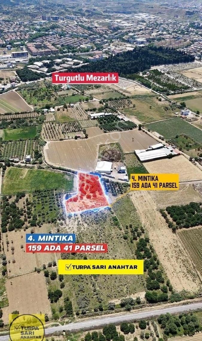 Turpadan 4. Mıntıkada Satılık Erik Bahçesi