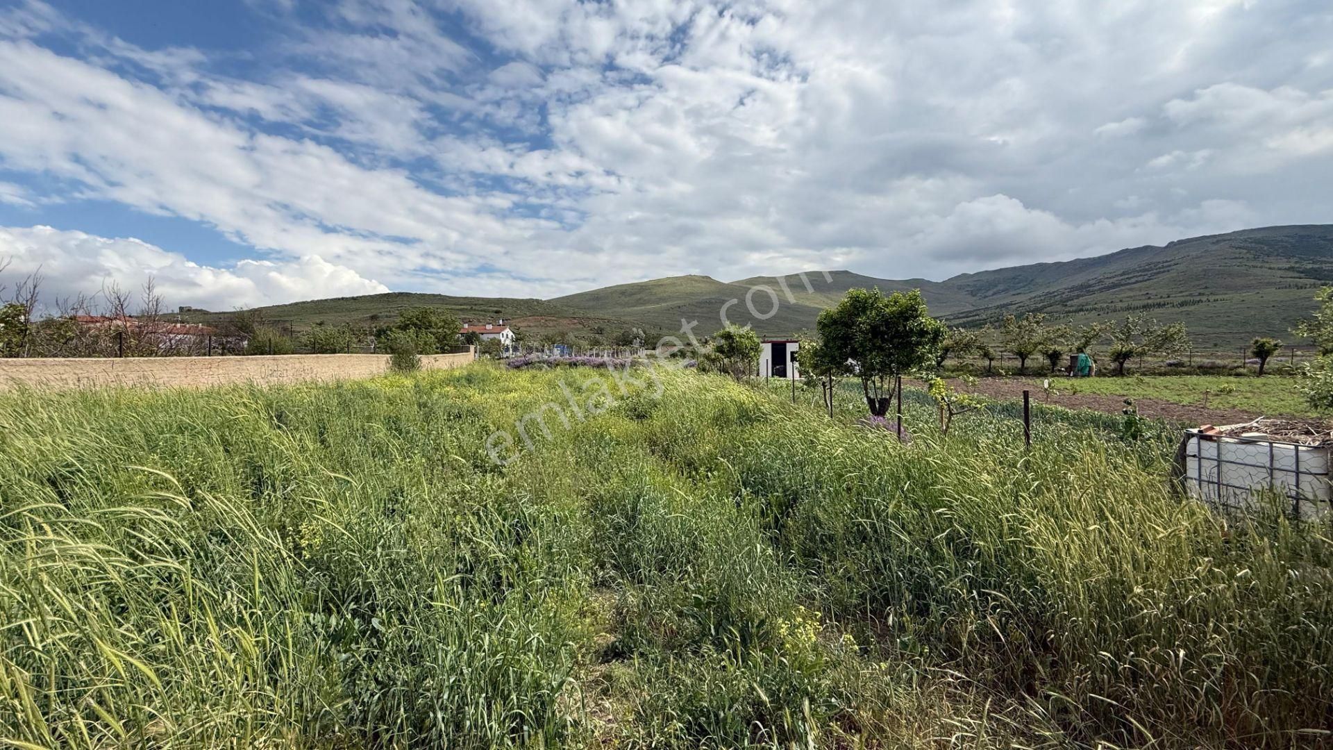 Öz Gaye Emlaktan Develi Ayvazhacı Mahallesinde Satılık Tarla