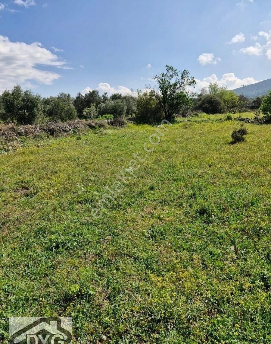 Kuyucak Çamdibi Satılık Tarla