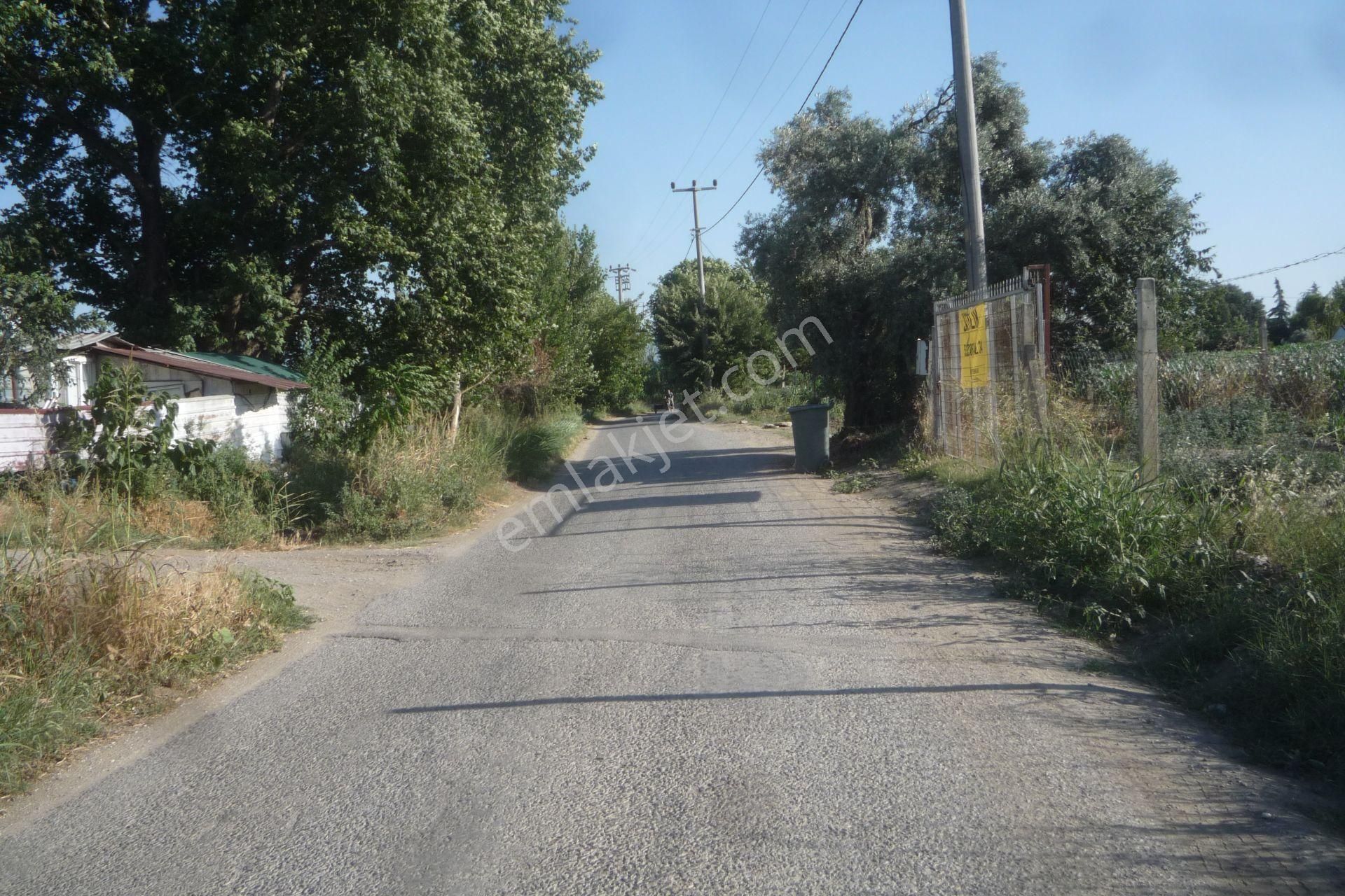 İzmir Torbalı Gold Emlaktan Bayındırda Satılık Kıymetli Tarla - Görsel 2