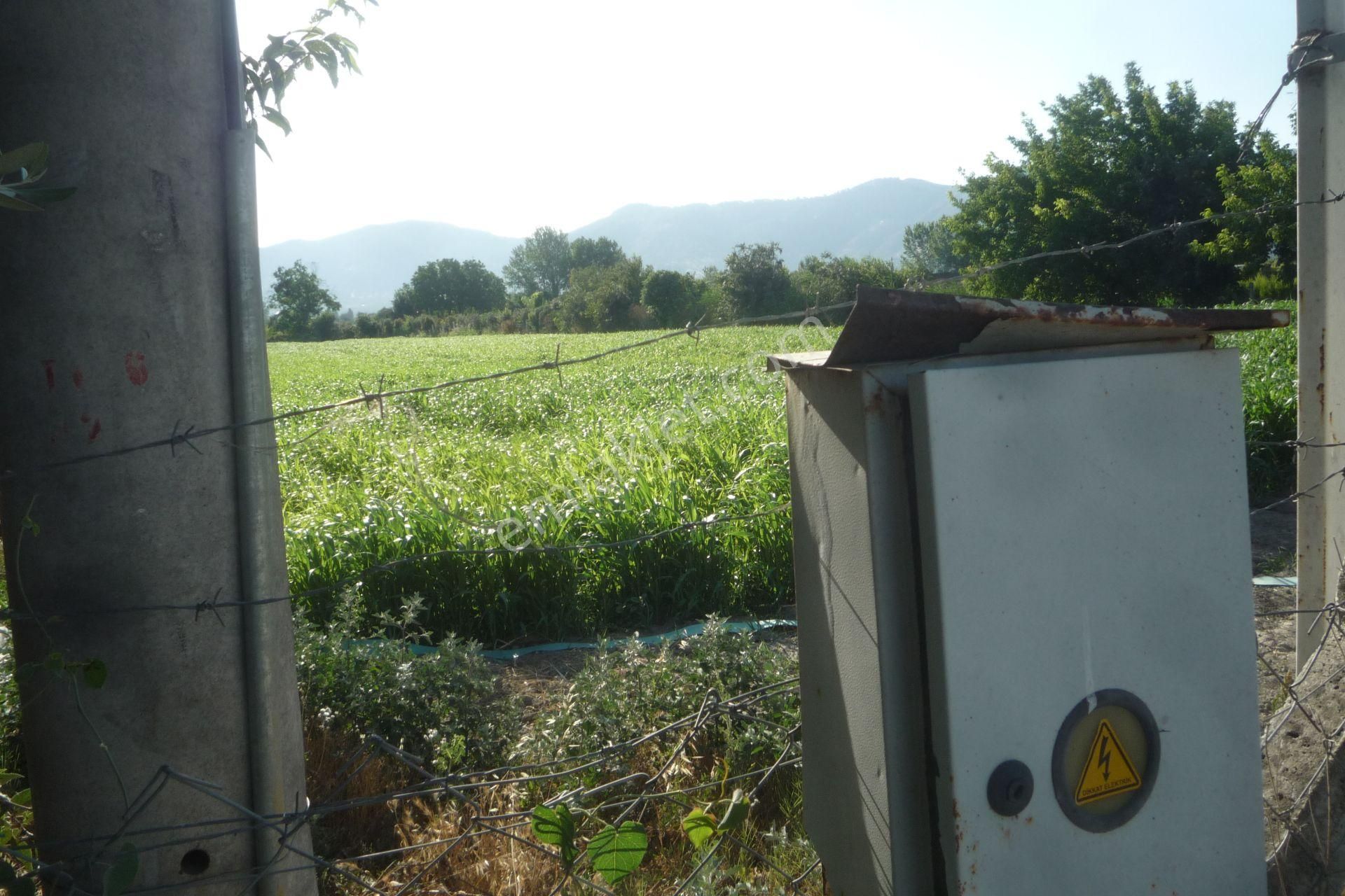 İzmir Torbalı Gold Emlaktan Bayındırda Satılık Kıymetli Tarla - Görsel 7