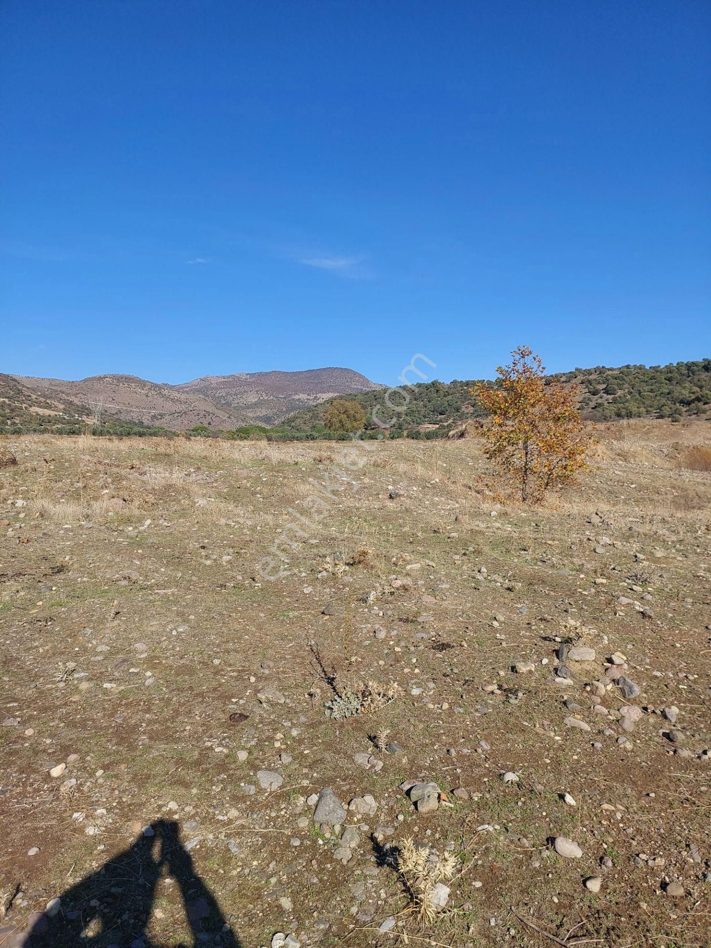 İzmir Dikili Kocaoba,da Satılık Kooperatiflere Uygun 22.bin.m2 Tarla - Görsel 16
