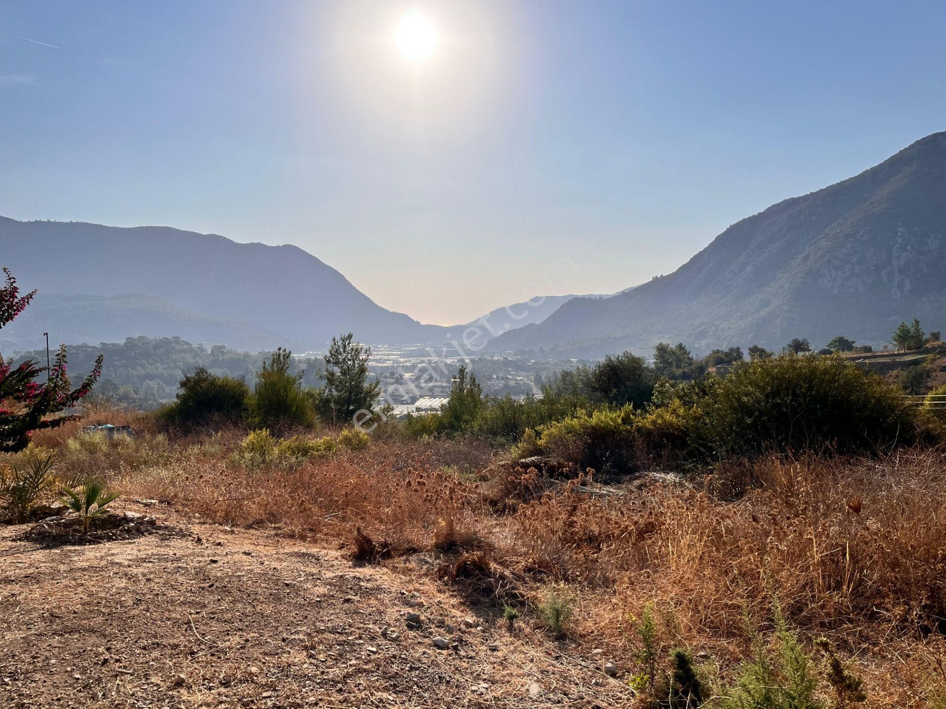 Adrasanda Yola Cephe Rızai Taksimli Satılık Tarla
