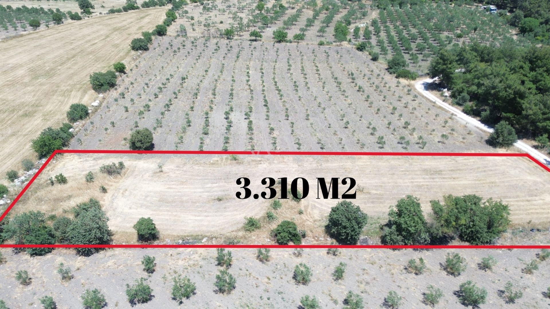 Bergama Cevaplı Da 3.310 M2 Satılık Tarla