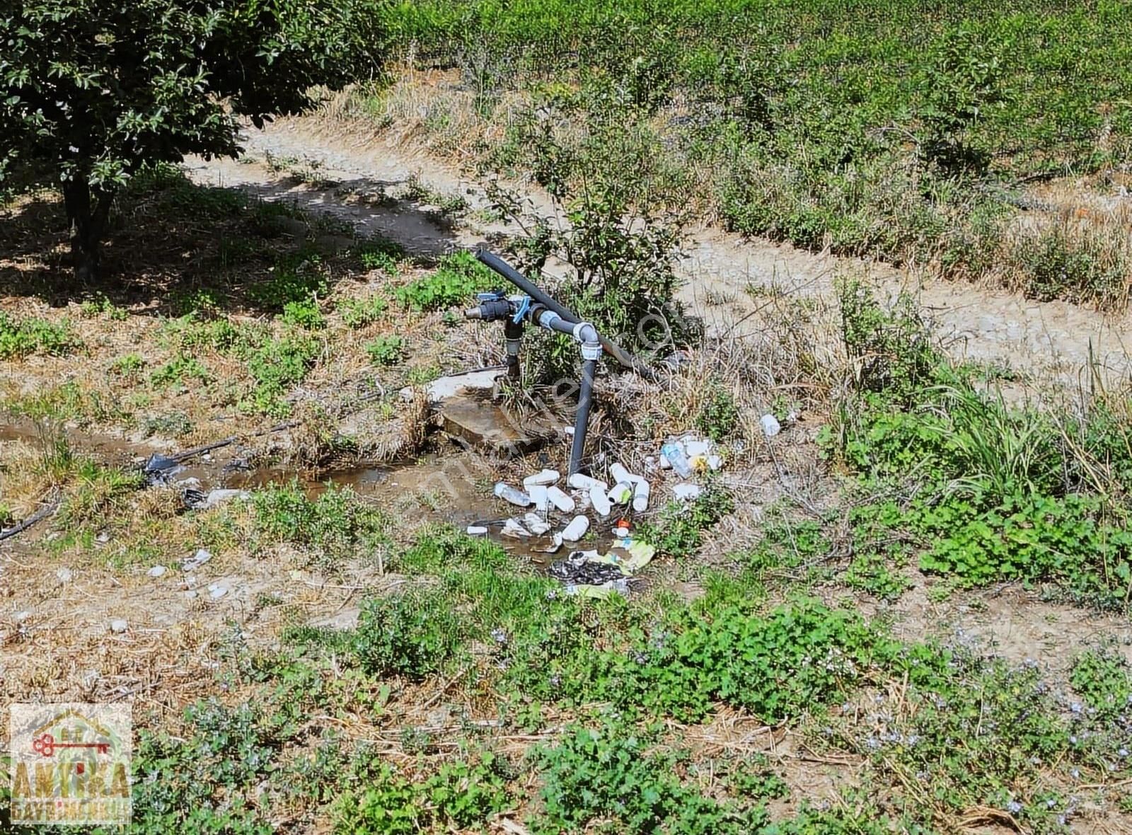Antika'dan Bademli'de Satılık Müstakil Ev Ve İncir Bahçesi - Görsel 4