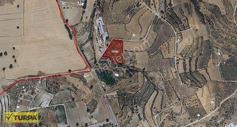 İzmir Menderes Bulgurca Satılık Yatırım İçin Uygun Tarla