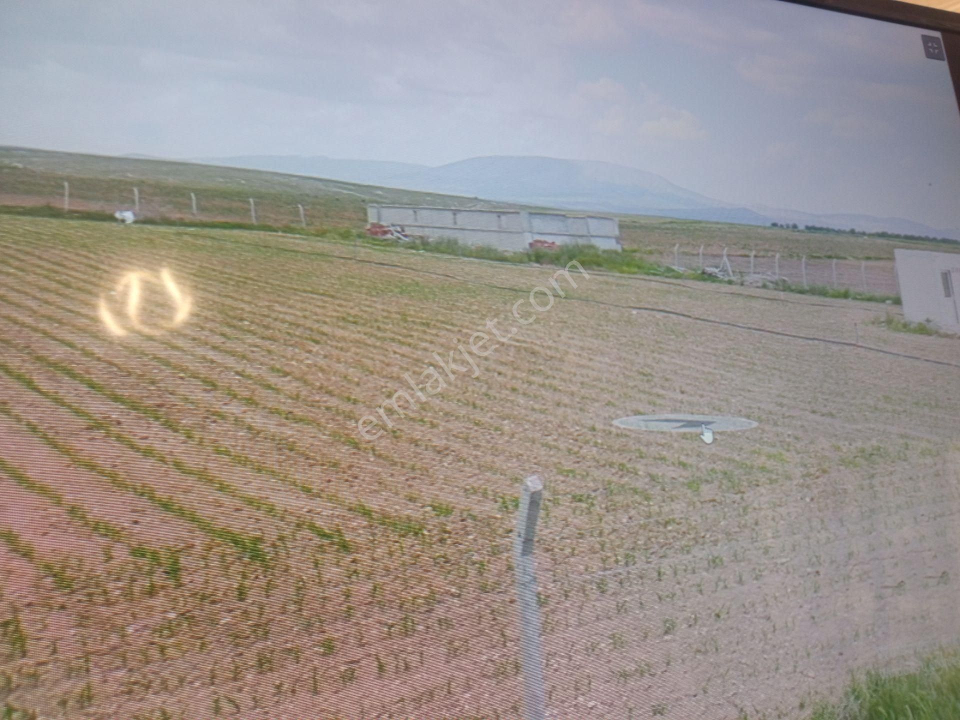 Konut İmarlı Tarla Satılık Alkovovaya Uzaklığı Üçbin Metre Konak Cadesinine Sıfır