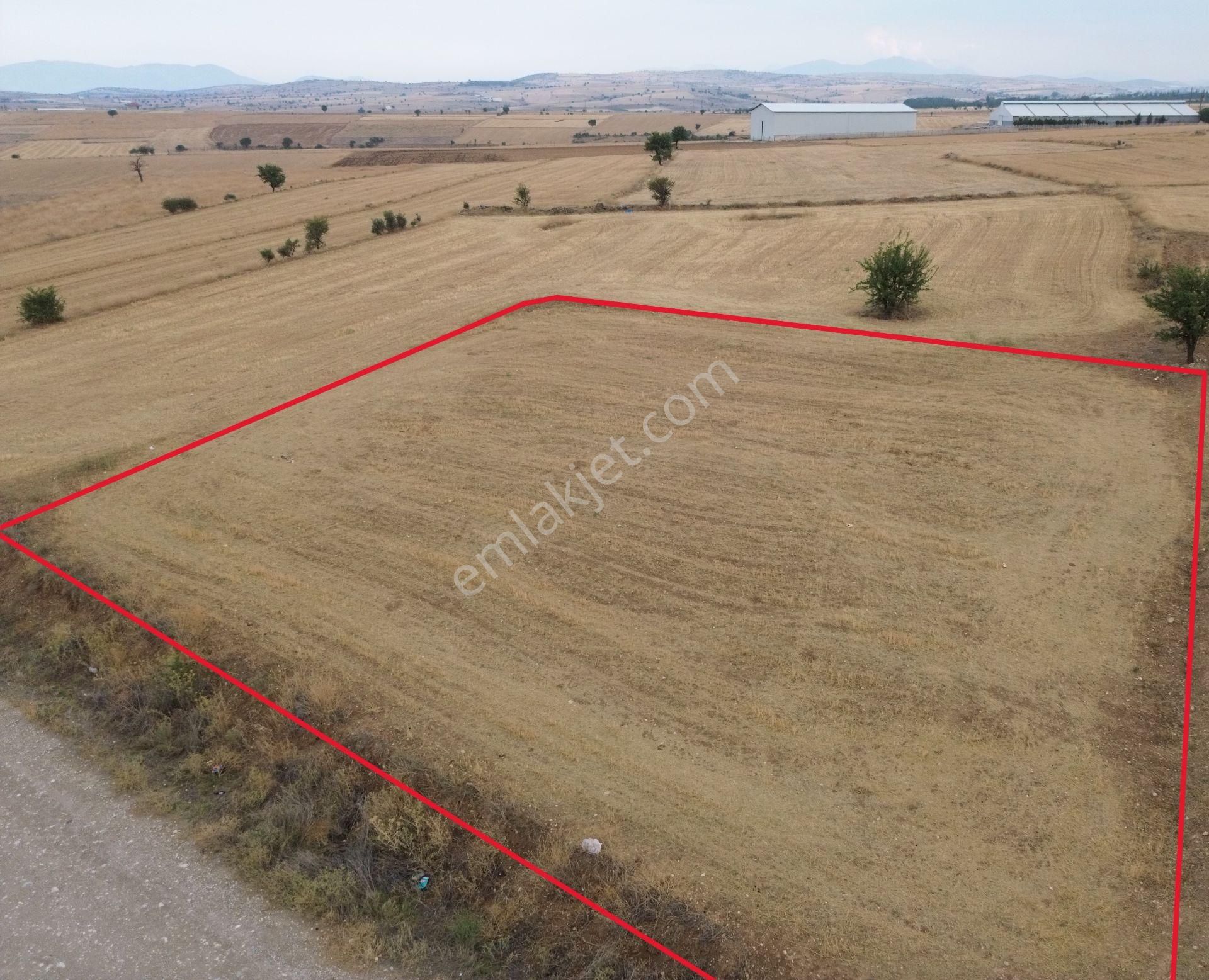 Korkuteli Yeltende 1667 M2 Tarla Yerleşime 250 Metre Mesafede - Görsel 11