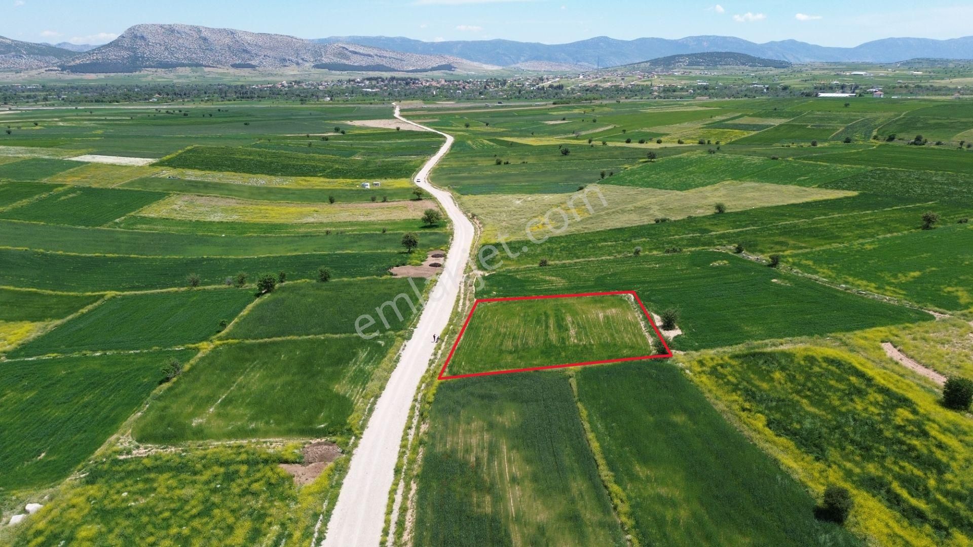 Korkuteli Yeltende 1667 M2 Tarla Yerleşime 250 Metre Mesafede - Görsel 10