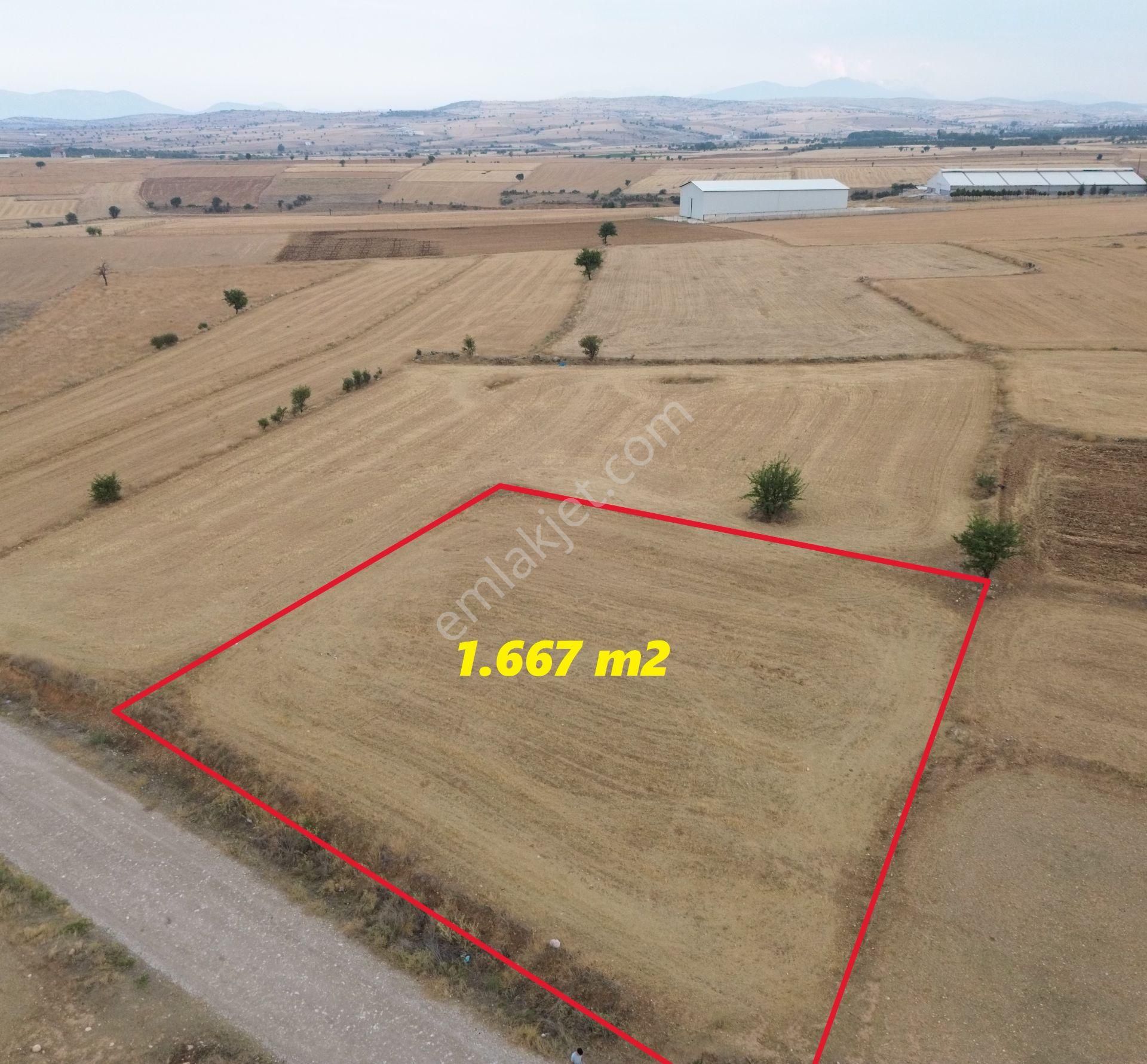 Korkuteli Yeltende 1667 M2 Tarla Yerleşime 250 Metre Mesafede - Görsel 14