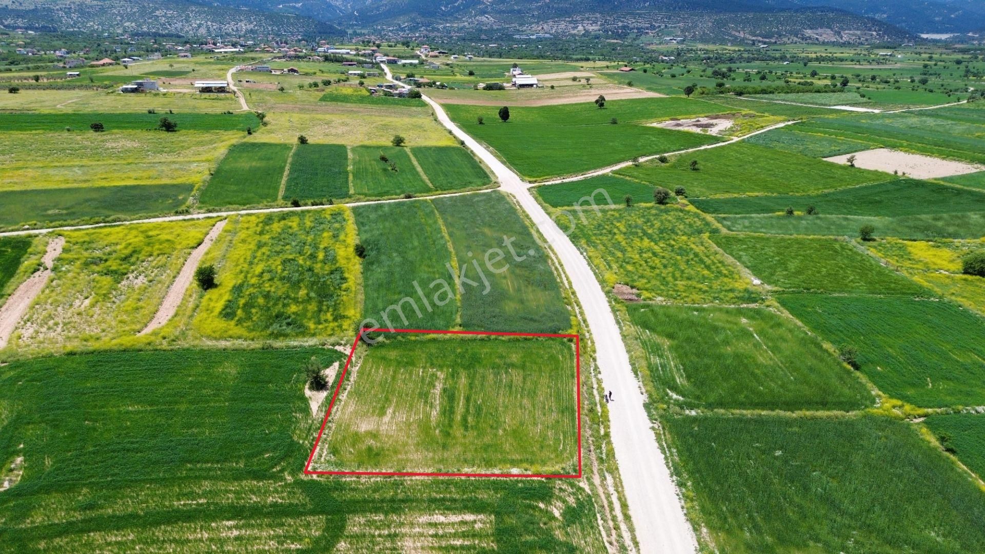 Korkuteli Yeltende 1667 M2 Tarla Yerleşime 250 Metre Mesafede - Görsel 7