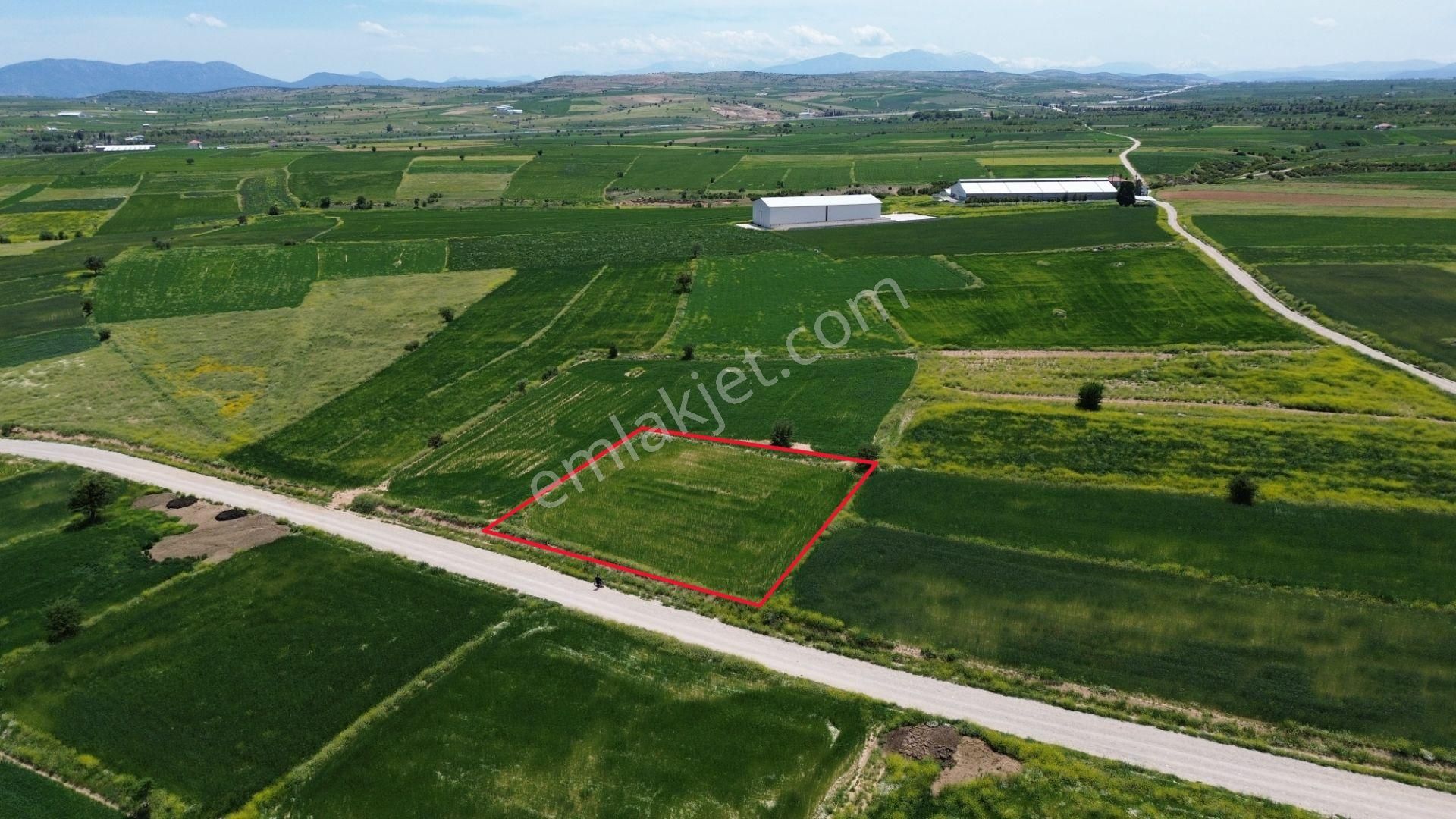 Korkuteli Yeltende 1667 M2 Tarla Yerleşime 250 Metre Mesafede - Görsel 5