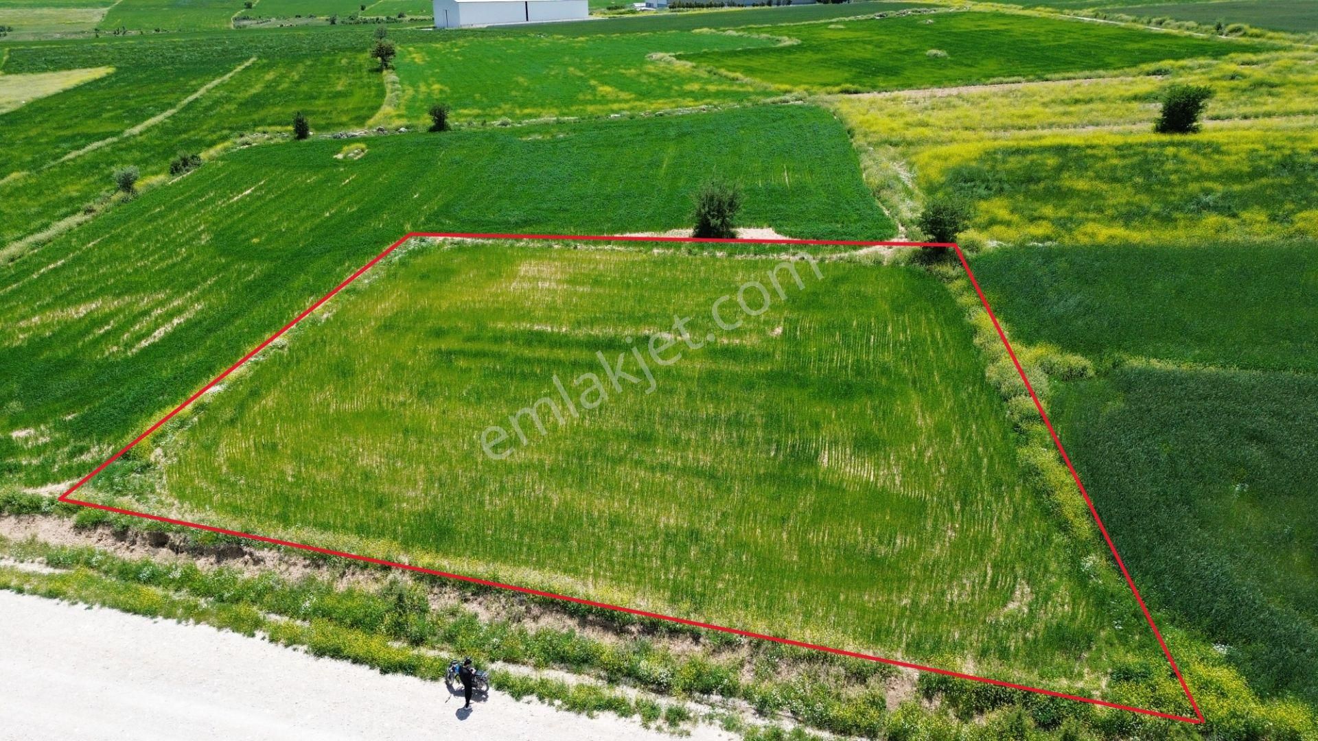 Korkuteli Yeltende 1667 M2 Tarla Yerleşime 250 Metre Mesafede - Görsel 4