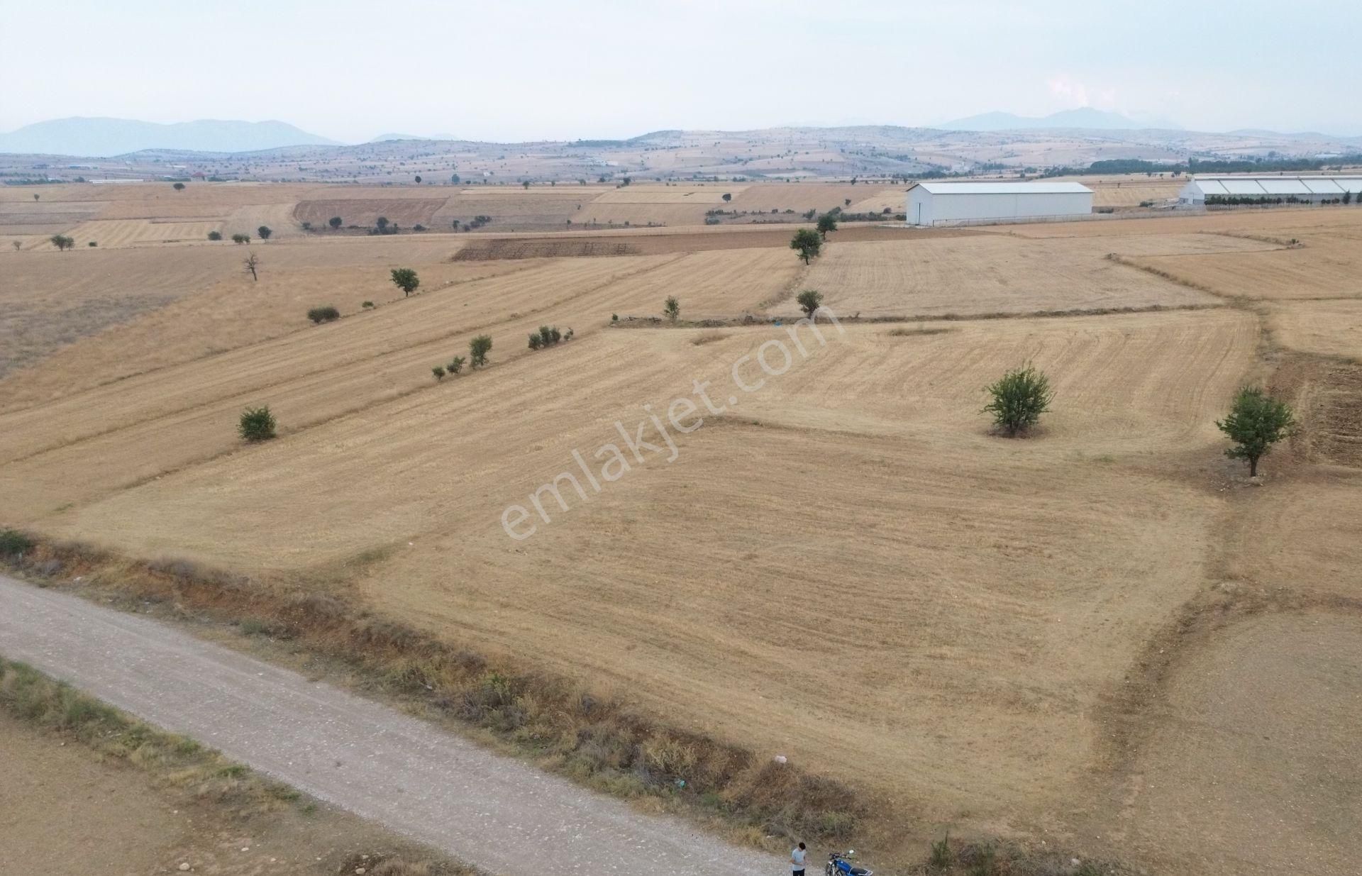 Korkuteli Yeltende 1667 M2 Tarla Yerleşime 250 Metre Mesafede - Görsel 13