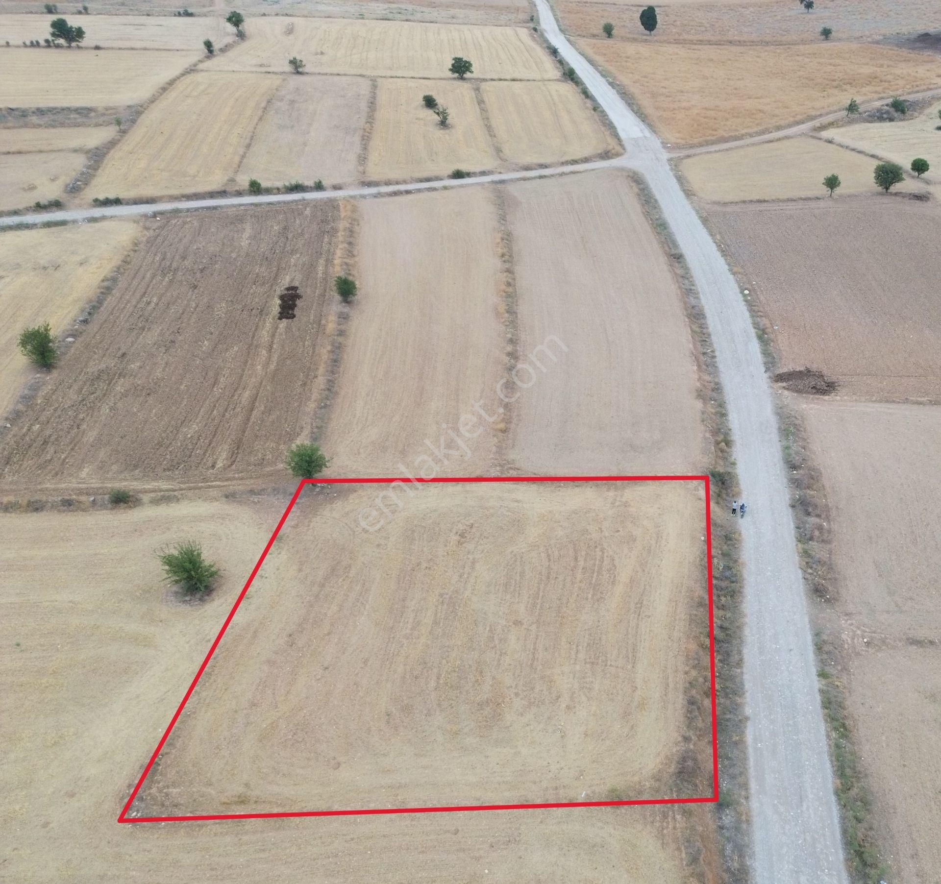 Korkuteli Yeltende 1667 M2 Tarla Yerleşime 250 Metre Mesafede - Görsel 8