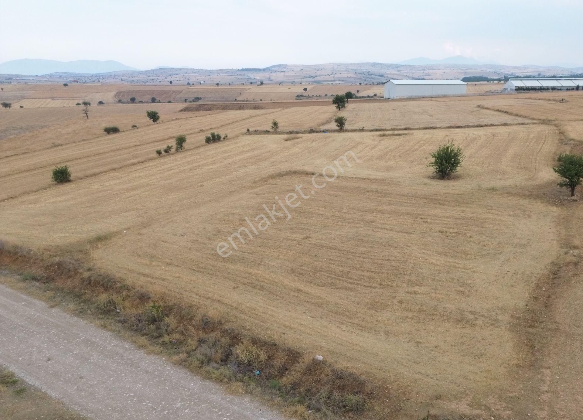 Korkuteli Yeltende 1667 M2 Tarla Yerleşime 250 Metre Mesafede - Görsel 12