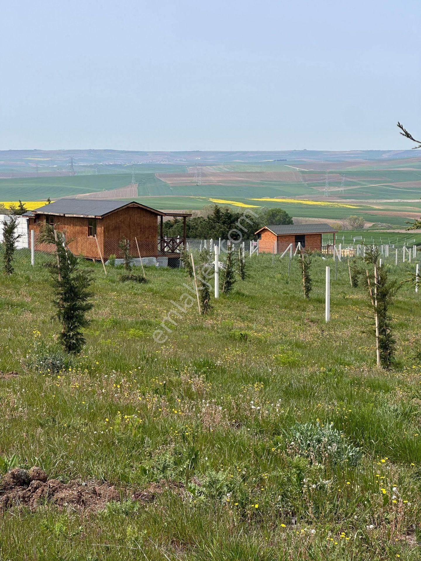 Tekirdağ Marmaraereğlisi Çeşmeli 250 M2 Yola Cephe Şehir Manzaralı Kelepir Arsa
