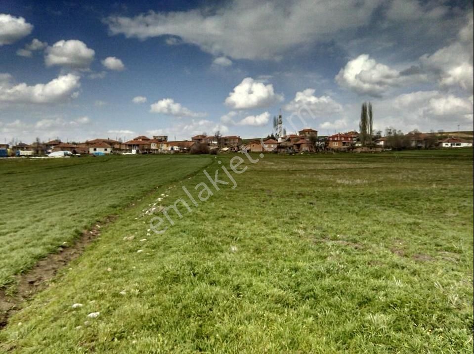 Kayseri Pınarbaşı Müstakil Ev Tapu Sahibi Perta Emlak Ümit Tahmaz - Görsel 15