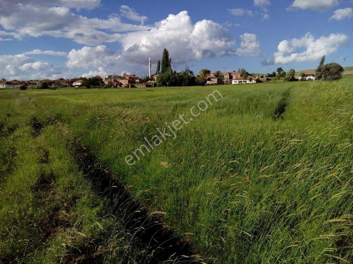 Kayseri Pınarbaşı Müstakil Ev Tapu Sahibi Perta Emlak Ümit Tahmaz - Görsel 25