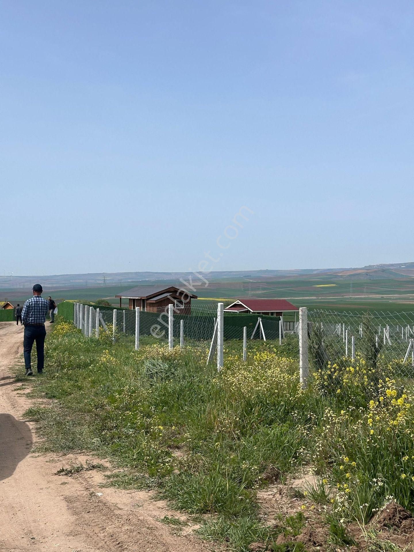 Çeşmeli De Bayrama Özel Her M2 Uygun Fiyatlı Arsalar