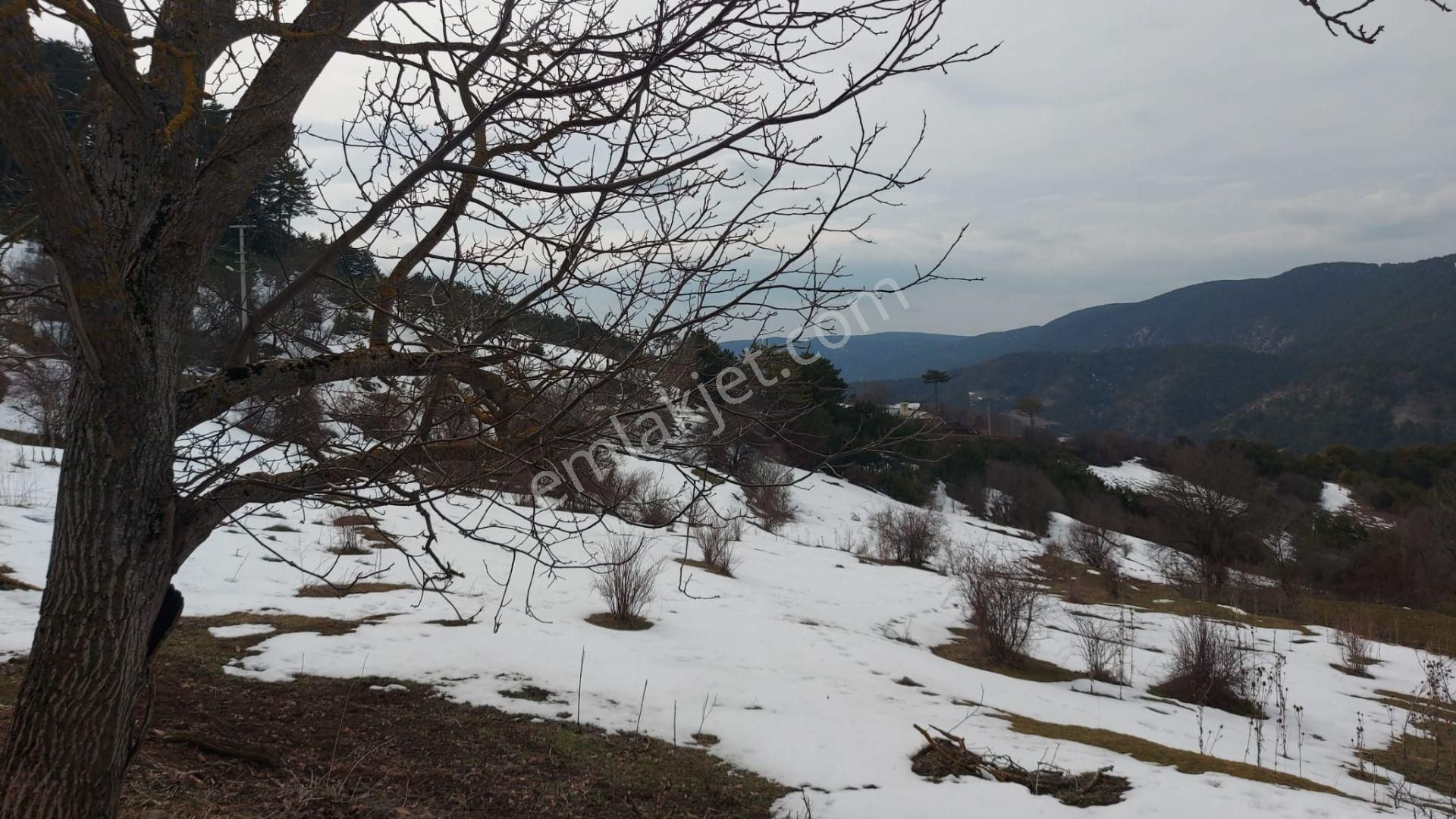 Göynük, Çaylak Köyiçi İmarlı Manzaralı Sünnet Gölü 8km Mesafede