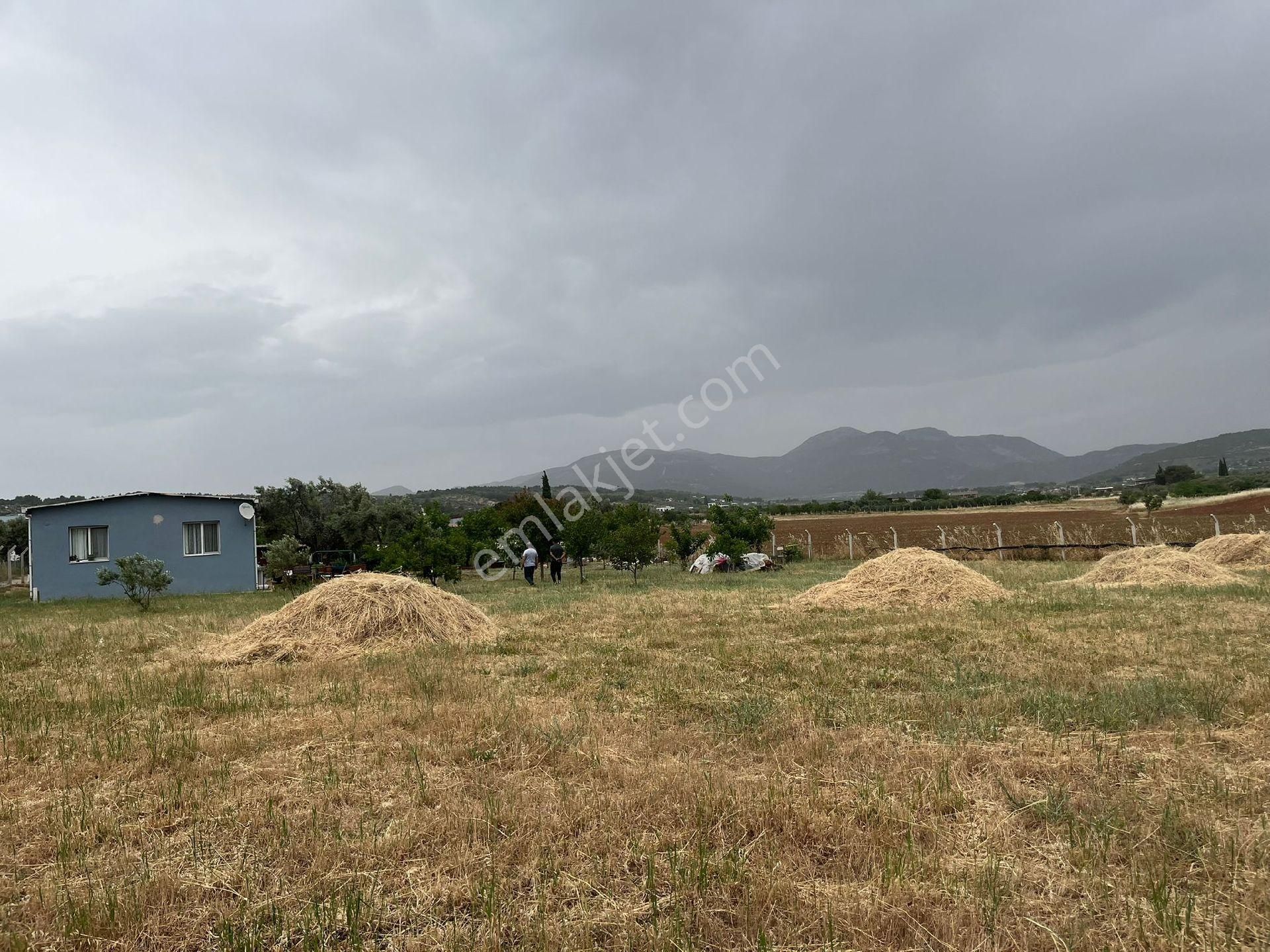 Ayrancılar Staremlaktan Buca Karacaaĝaçta 3000m Satılık Arazı Mŭstakīl Ev - Görsel 2