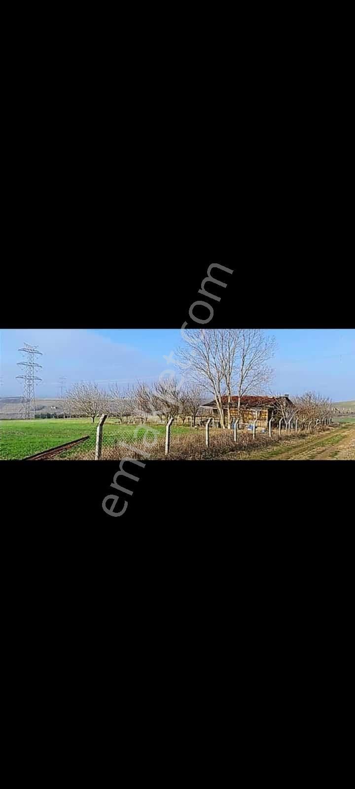 Çatalca Elbasanda 11,800m Satılık Düşeş Kazandıracak İçinde Evi Olan Arsa No:257 - Görsel 3